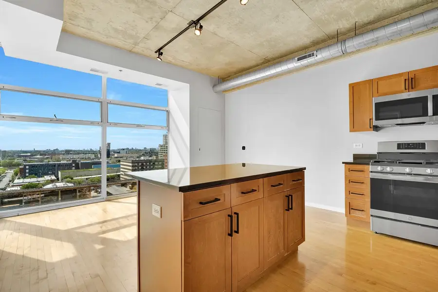 1620 S Michigan Avenue #1117, Chicago, IL 60616 - #3