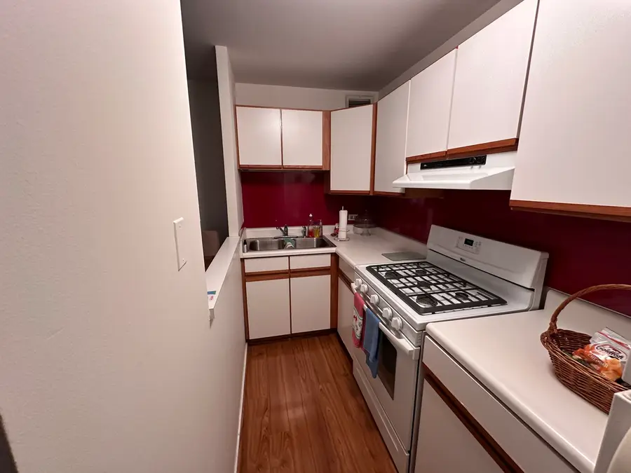 3021 S Michigan Avenue #311, Chicago, IL 60616 - #2