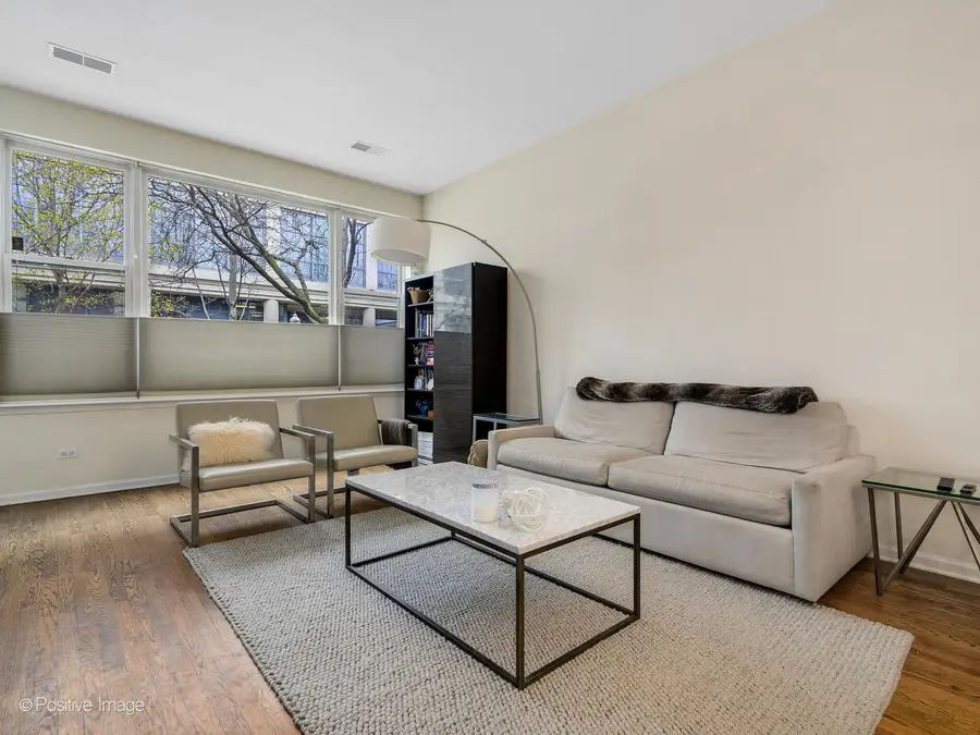 917 N Kingsbury Street #917, Chicago, IL 60610 - #2