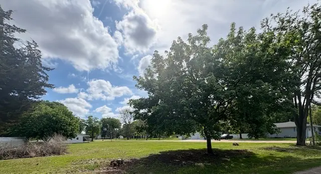 211 S Appleton Avenue, Amboy, IL 61310 - #3