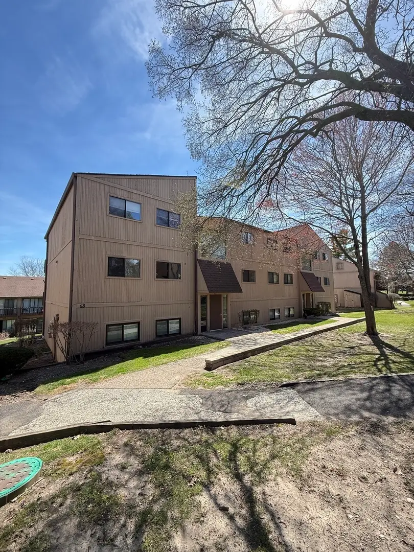 58 Vail Colony #9, Fox Lake, IL 60020 - #1