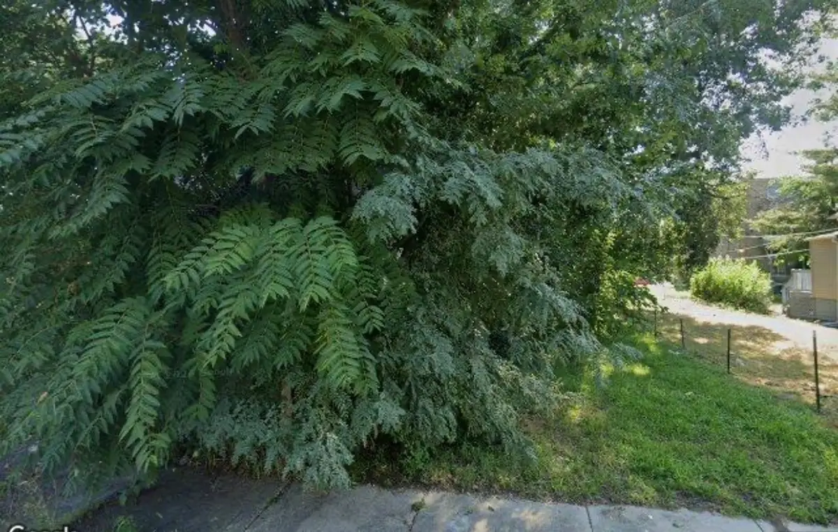 6521 S Emerald Avenue, Chicago, IL 60621 - #1