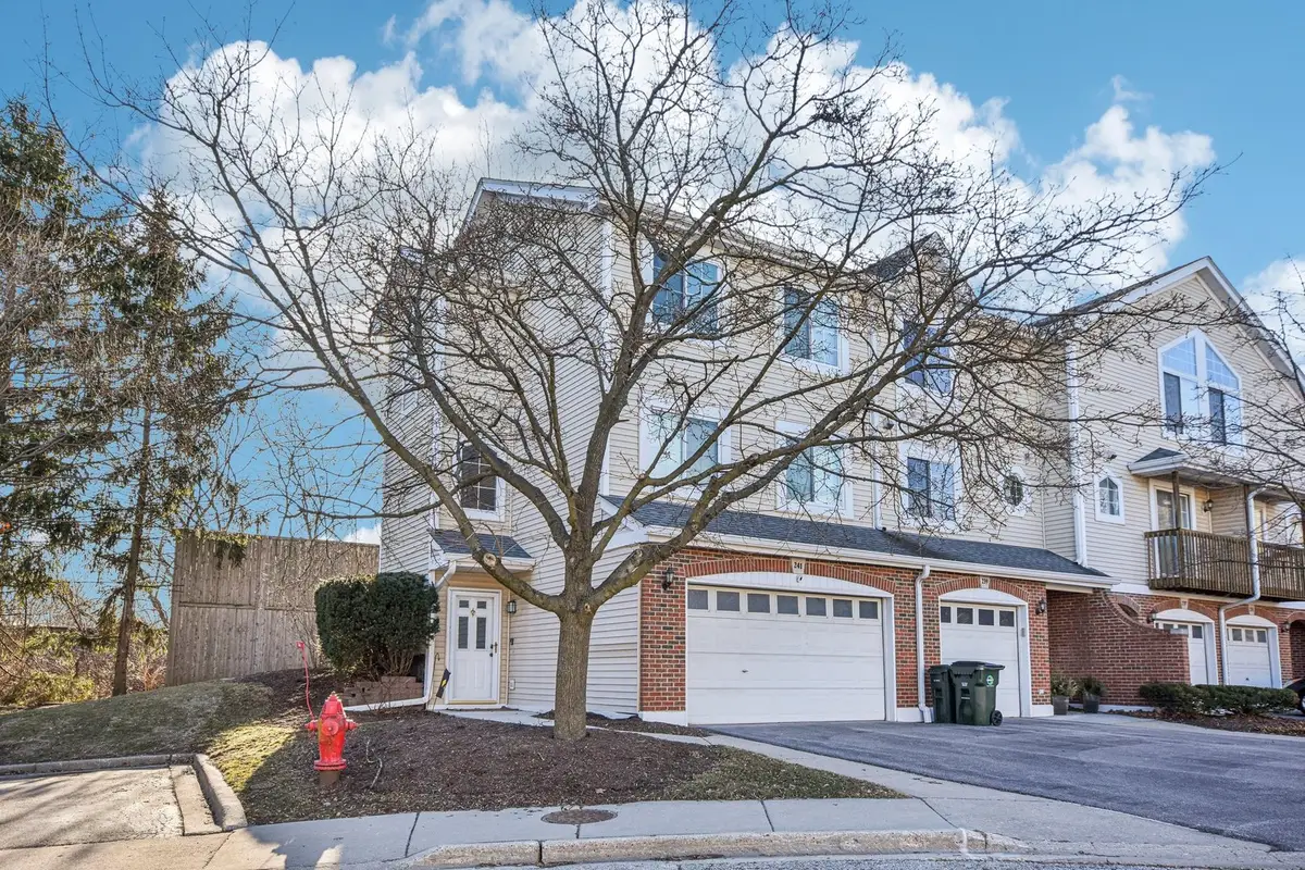 241 E Parallel Street #1A, Palatine, IL 60067 - #1