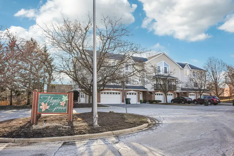 241 E Parallel Street #1A, Palatine, IL 60067 - #2