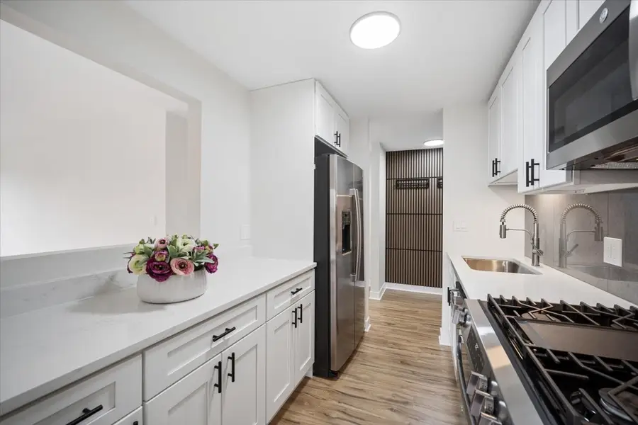 1117 S Old Wilke Road #402, Arlington Heights, IL 60005 - #3