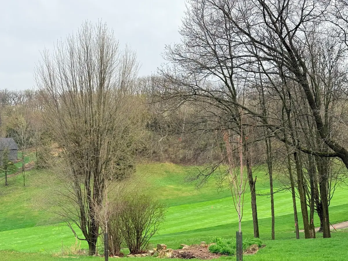 10 Linden Court, Galena, IL 61036 - #1