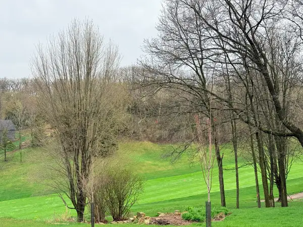 10 Linden Court, Galena, IL 61036