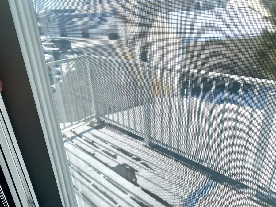 530 Meadow Green Lane #530, Round Lake Beach, IL 60073 - #3