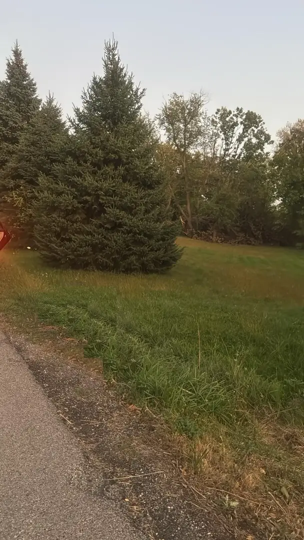 0 South Road, Fox River Grove, IL 60021 - #3