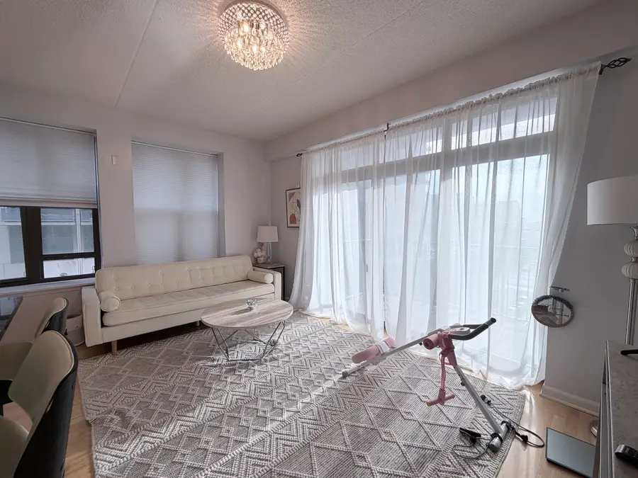 1250 S Indiana Avenue #509, Chicago, IL 60605 - #3