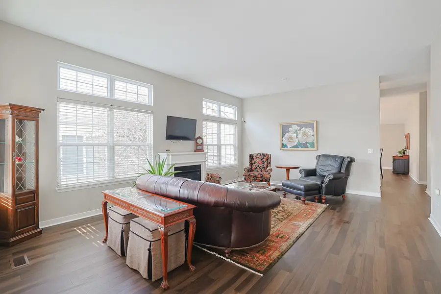 21450 W Basswood Lane, Plainfield, IL 60544 - #3