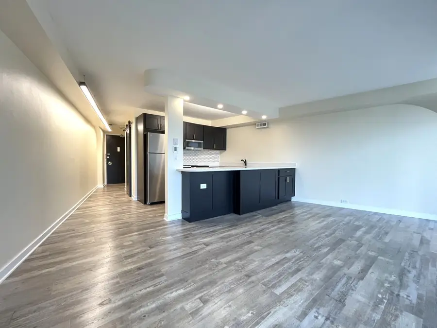 300 N State Street #5225, Chicago, IL 60654 - #2