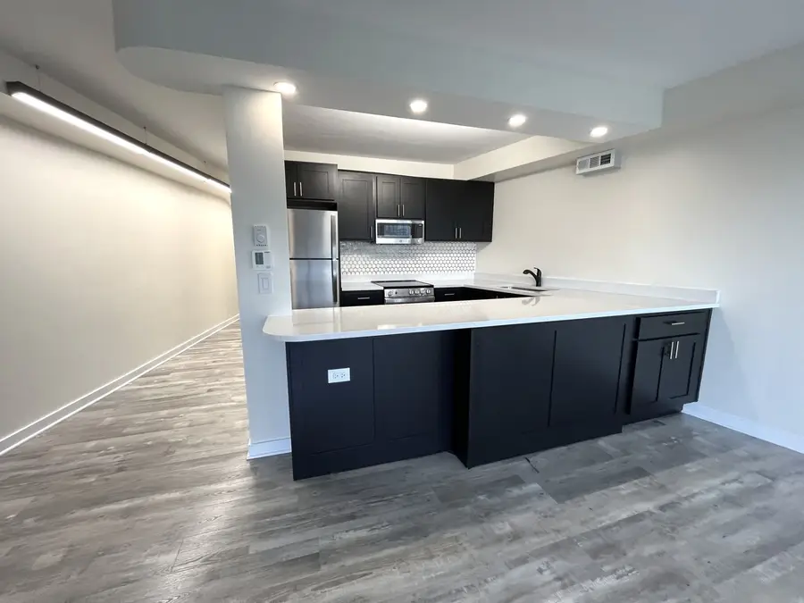 300 N State Street #5225, Chicago, IL 60654 - #3