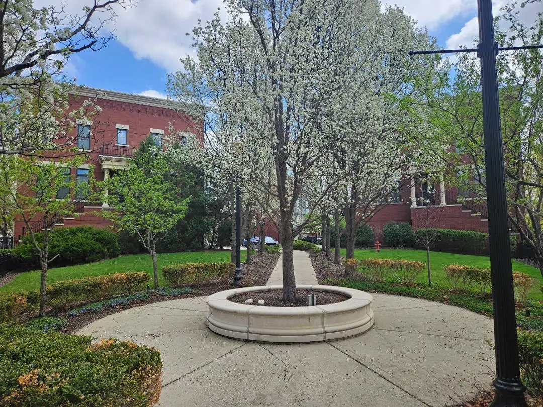 147 River Walk Court, Elgin, IL 60120 - #1