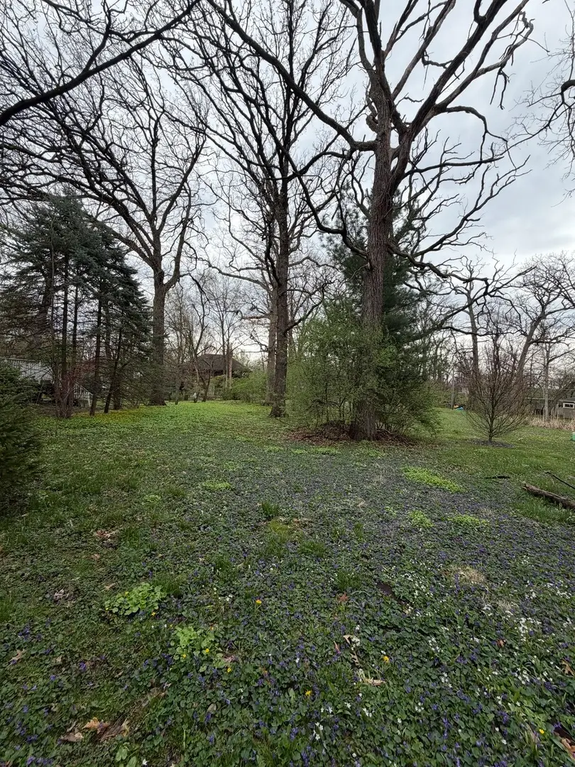 11407 Hiawatha Lane, Indian Head Park, IL 60525 - #3