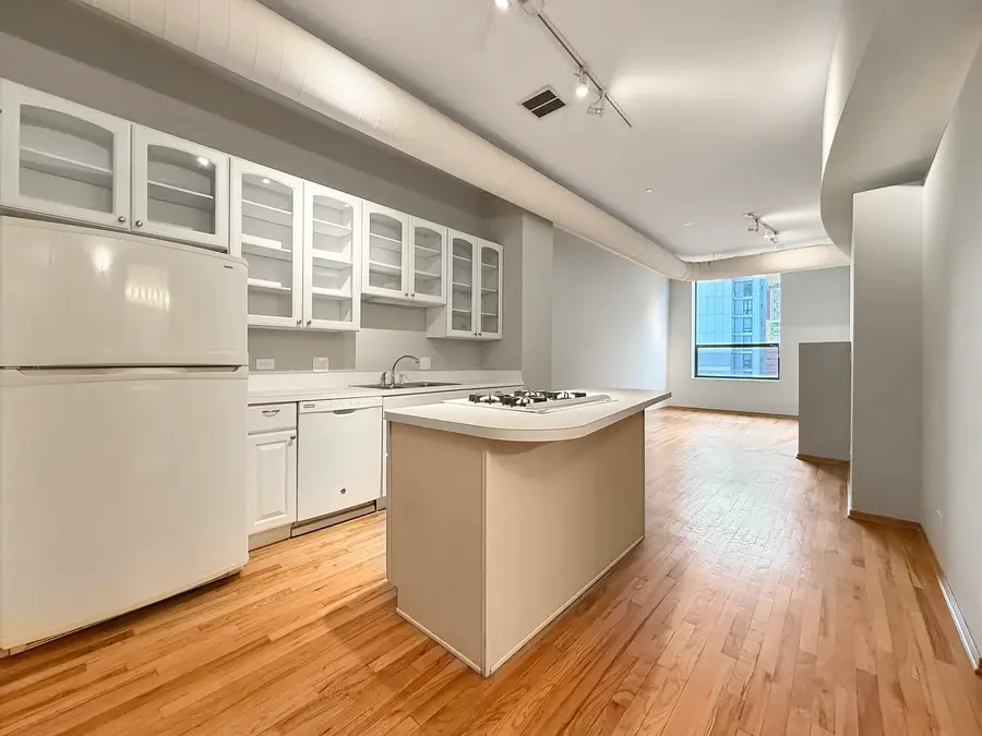 910 S Michigan Avenue #1009, Chicago, IL 60605 - #2