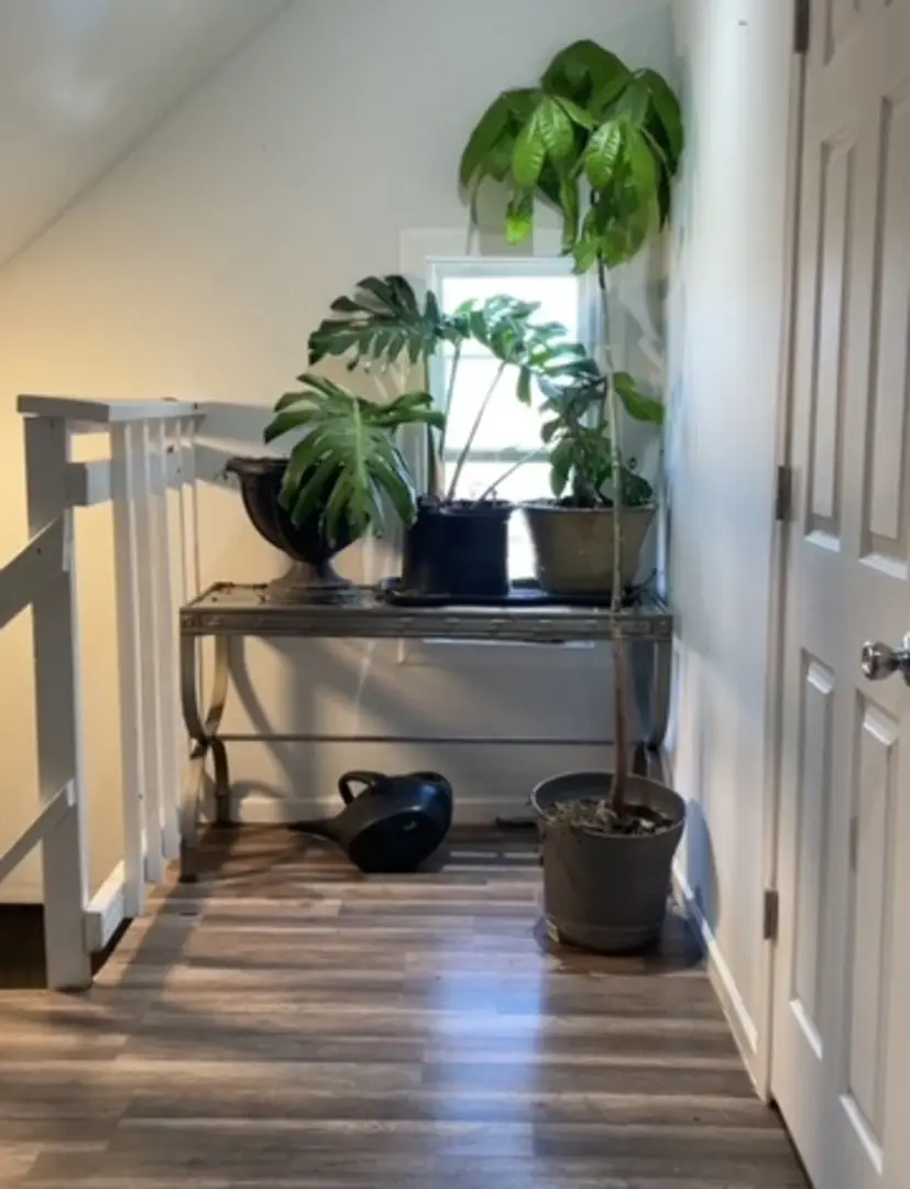 1248 W 49th Place, Chicago, IL 60609 - #3