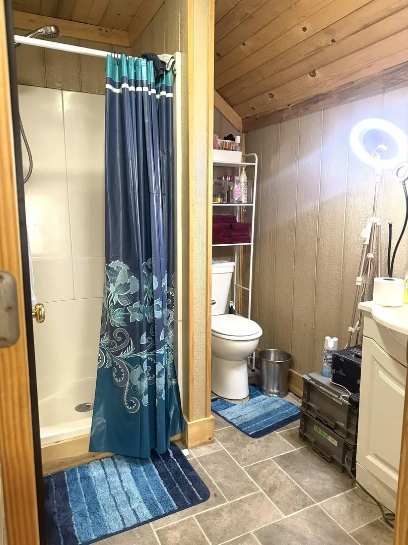 306 S Gridley Street, Bloomington, IL 61701 - #3