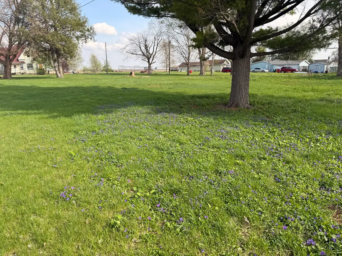 210 N Maple Street, Magnolia, IL 61336 - #1