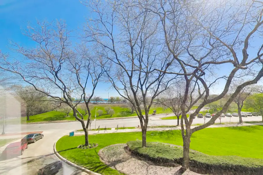 3180 N Lake Shore Drive #2E, Chicago, IL 60657 - #2