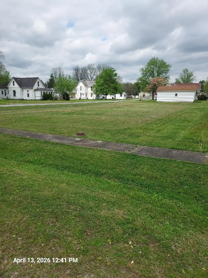 TBD 1st Street, Karnak, IL 62956 - #2