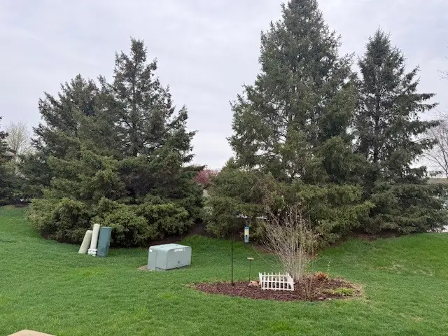 1702 Countryside Drive, Shorewood, IL 60404 - #2