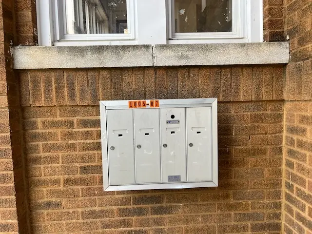 1005 N Springfield Avenue, Chicago, IL 60651 - #2