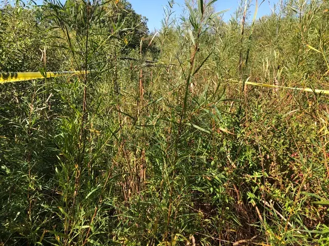 14 Alexandra Drive, Mettawa, IL 60048 - #1