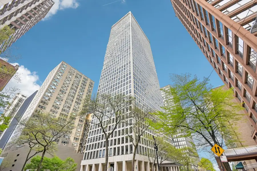 260 E Chestnut Street #2505, Chicago, IL 60611 - #3
