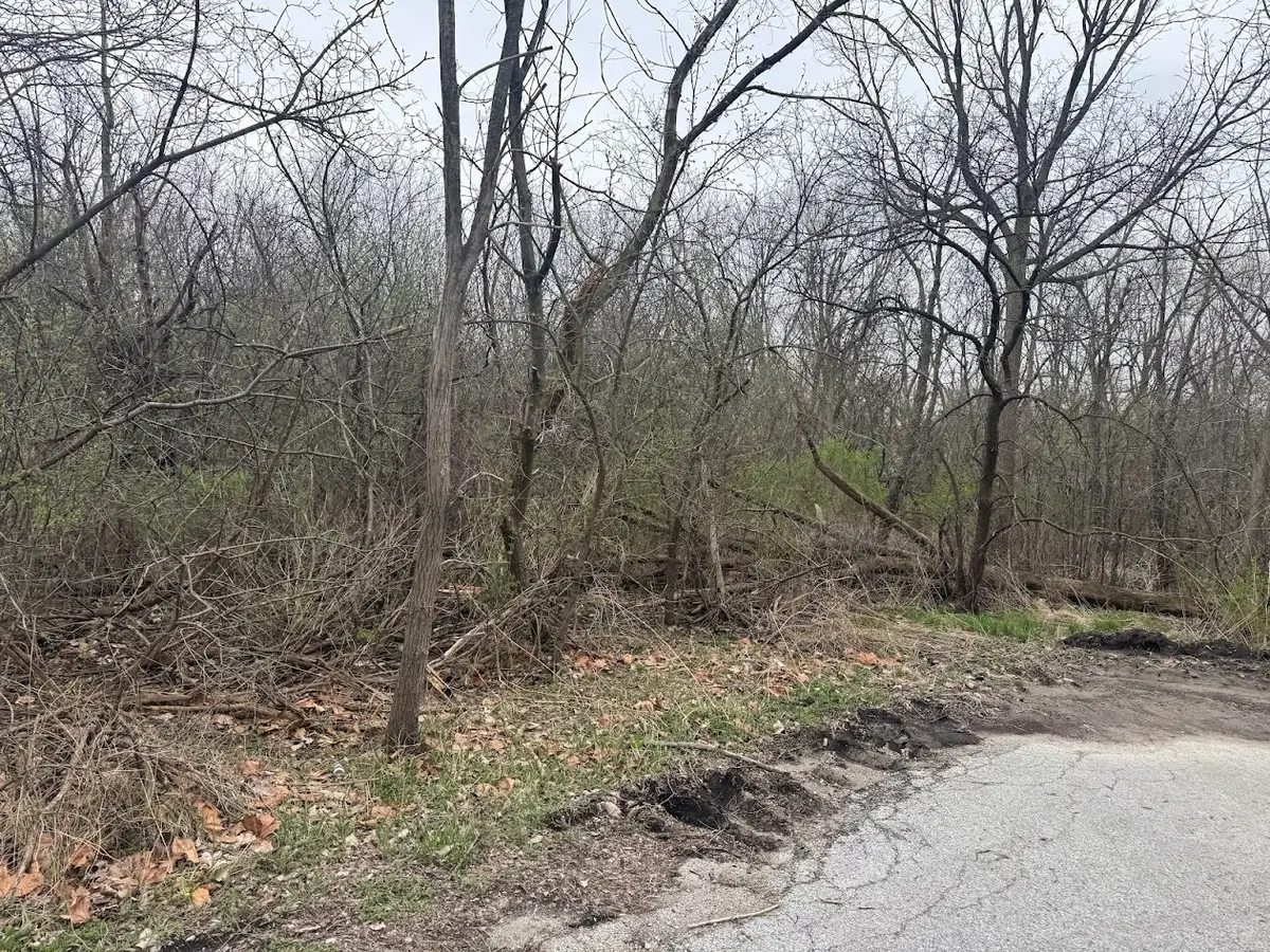 22828 Frederick Road, Steger, IL 60475 - #1