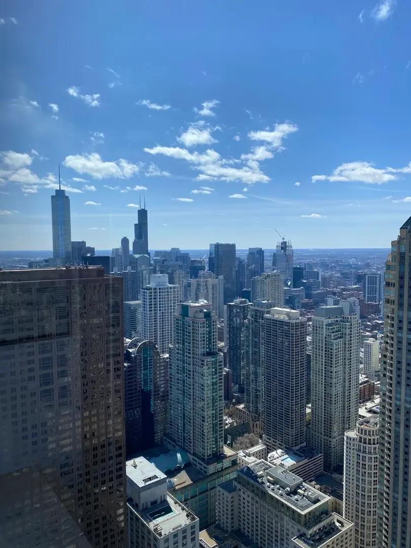 180 E Pearson Street #6001, Chicago, IL 60611 - #2
