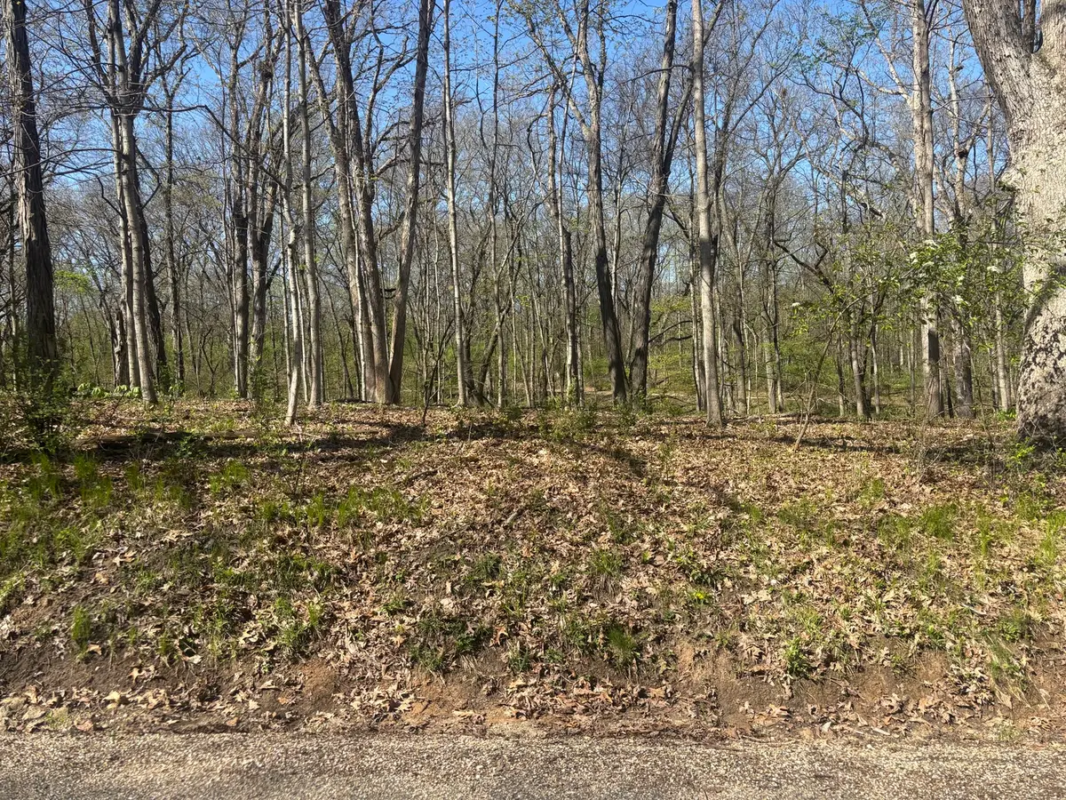 1618 Tanglewood Drive, Varna, IL 61375 - #1