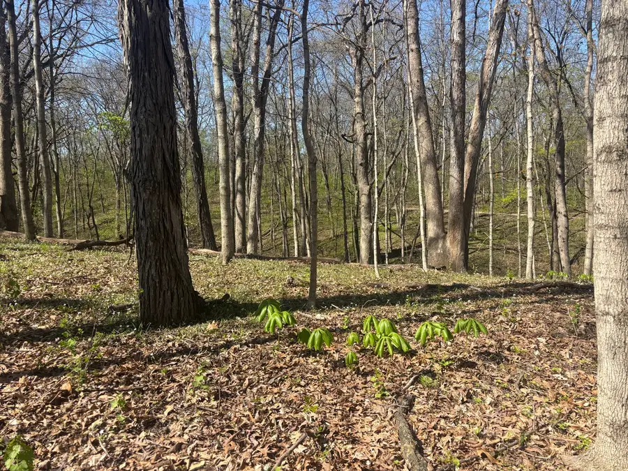 1618 Tanglewood Drive, Varna, IL 61375 - #3