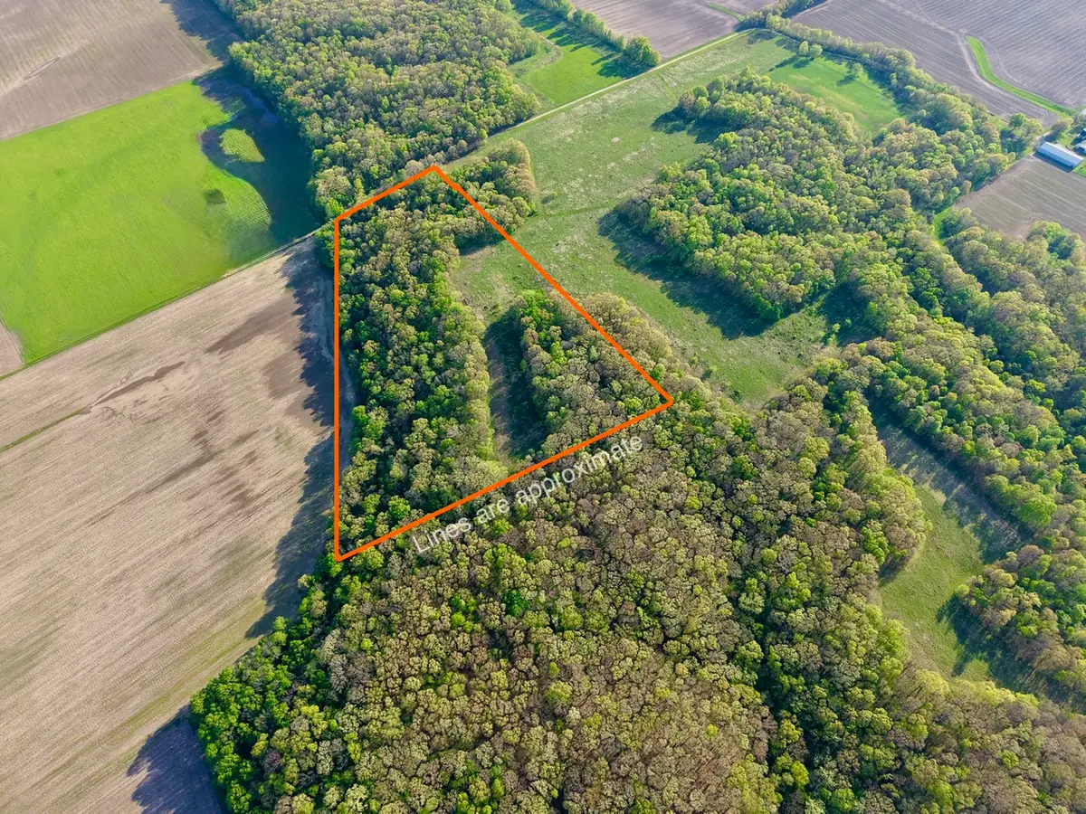 000 3175 East Avenue, Cowden, IL 62422 - #1