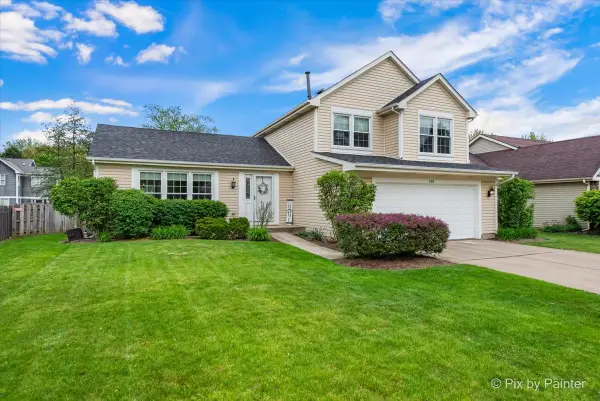 113 N Bristol Drive, Bloomingdale, IL 60108