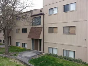 48 Oak Hill Colony #2, Fox Lake, IL 60020 - #2