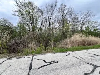 17W246 Red Oak Street, Bensenville, IL 60106