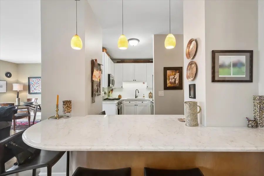 21 W Chestnut Street #809, Chicago, IL 60610 - #3