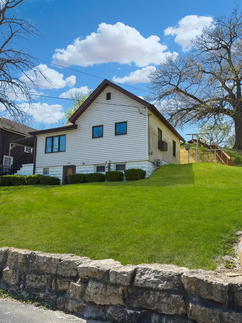 201 Diagonal Street, Savanna, IL 61074 - #1