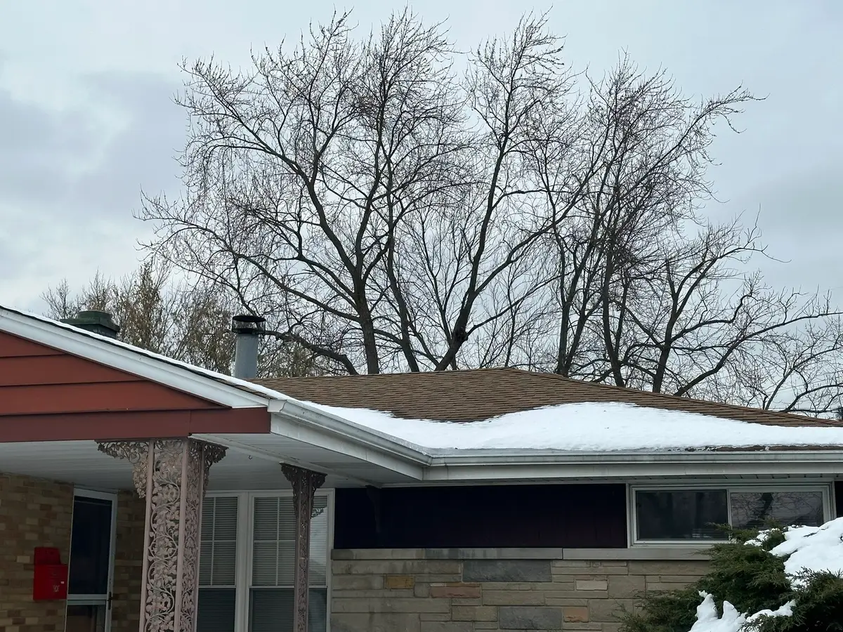 7520 Arcadia Street, Morton Grove, IL 60053 - #1