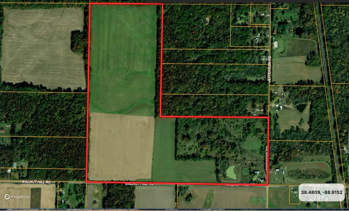 1132 S Jefferson Street, Kell, IL 62853 - #1