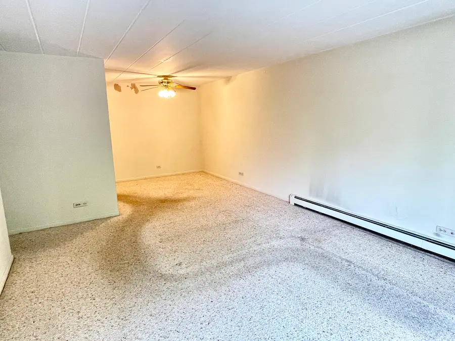 1052 Mill Street #110, Naperville, IL 60540 - #2