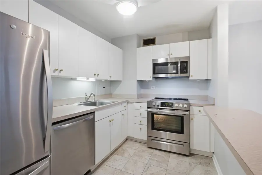 33 E Cedar Street #5B, Chicago, IL 60611 - #3