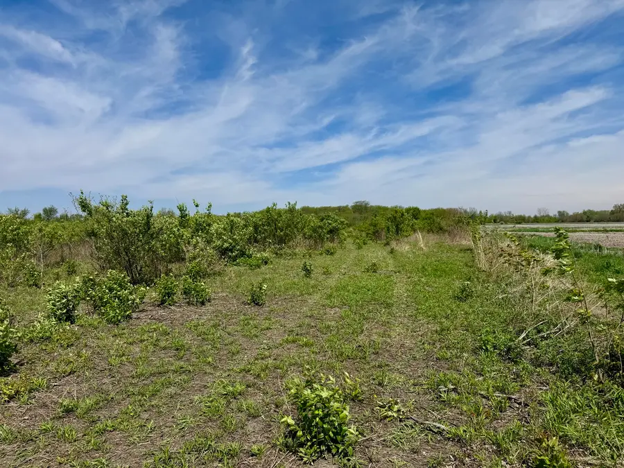 000 Kankakee Street, Reddick, IL 60961 - #2