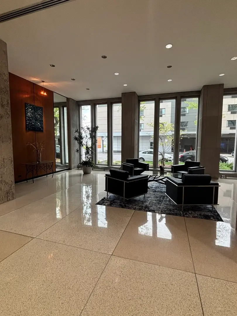 4800 S Chicago Beach Drive #203S, Chicago, IL 60615 - #2
