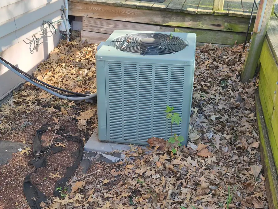 203 S Yates Street, Alpha, IL 61413 - #3