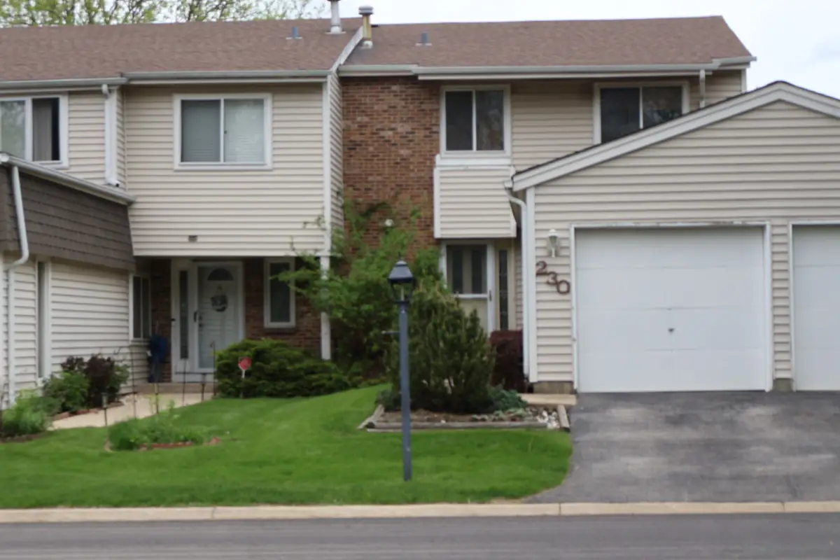 230 Douglass Way, Bolingbrook, IL 60440 - #1