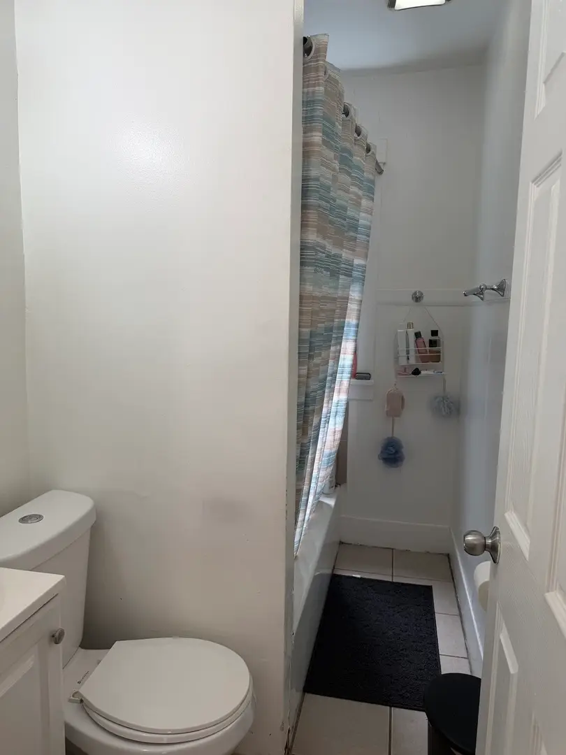 1207 Emerald Avenue, Chicago Heights, IL 60411 - #3