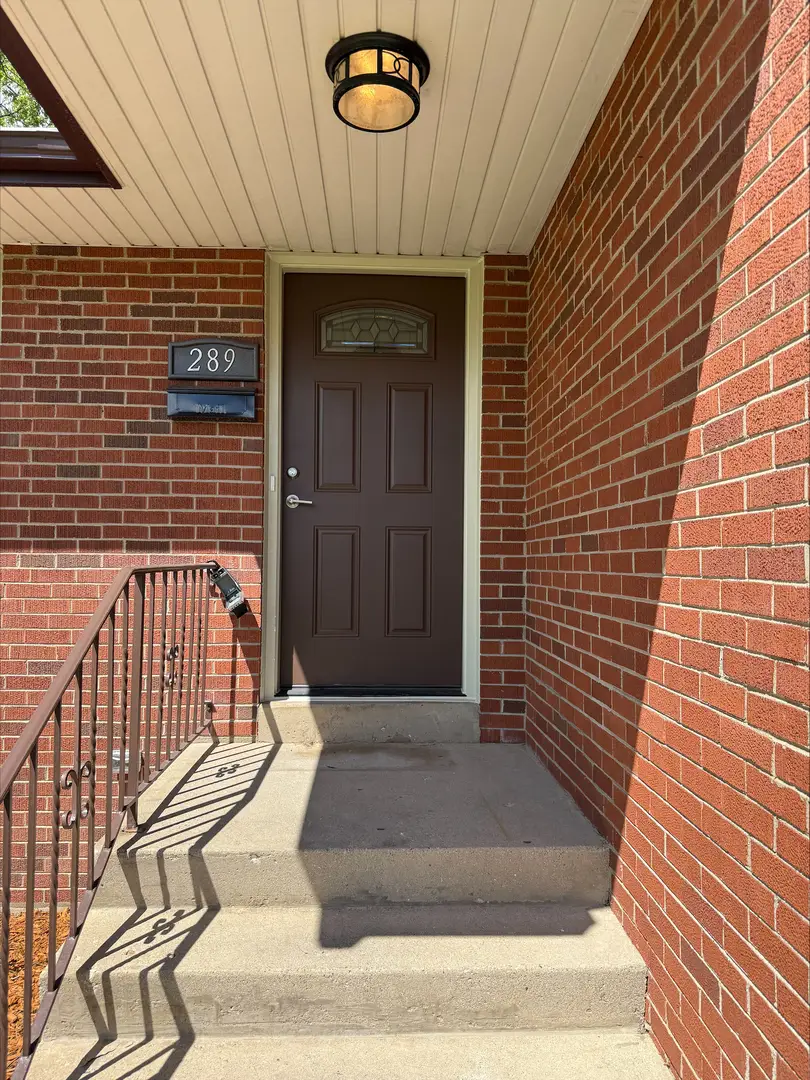 289 Chestnut Street, Antioch, IL 60002 - #3