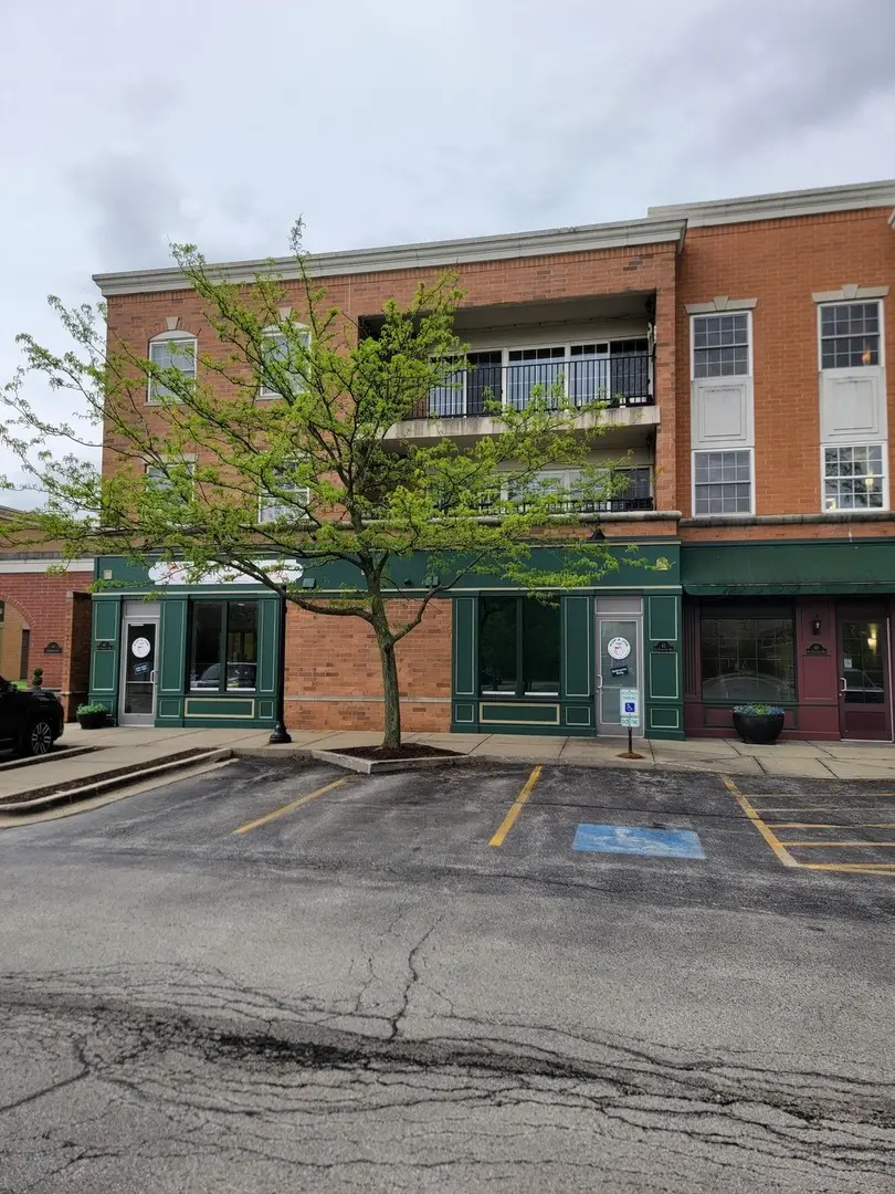 49 Old Frankfort Way #210, Frankfort, IL 60423 - #2